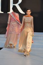 Model walk the ramp for Shouger Merchant Doshi  Show at IRFW 2012 in Goa on 1st Dec 2012 (83).JPG